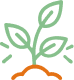 Saplings Planted