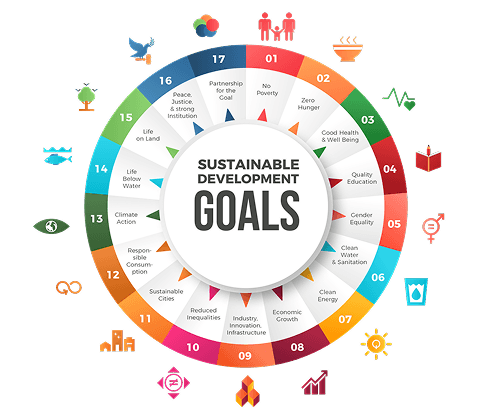 What causes and focus areas does WFL support?