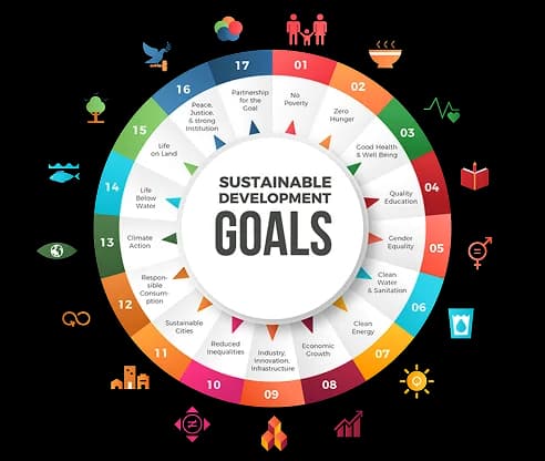 What causes and focus areas does WFL support?