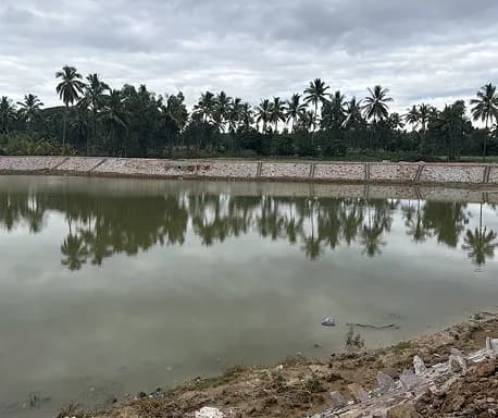 Lake Rejuvenation Mysuru image 2